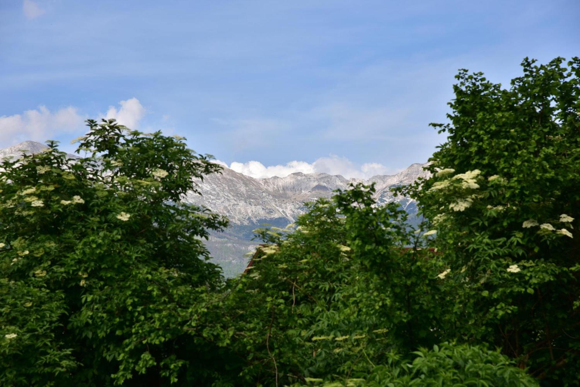 Apartment Jang Tolmin Εξωτερικό φωτογραφία